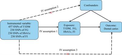 Type 1 diabetes, glycemic traits, and risk of dental caries: a Mendelian randomization study